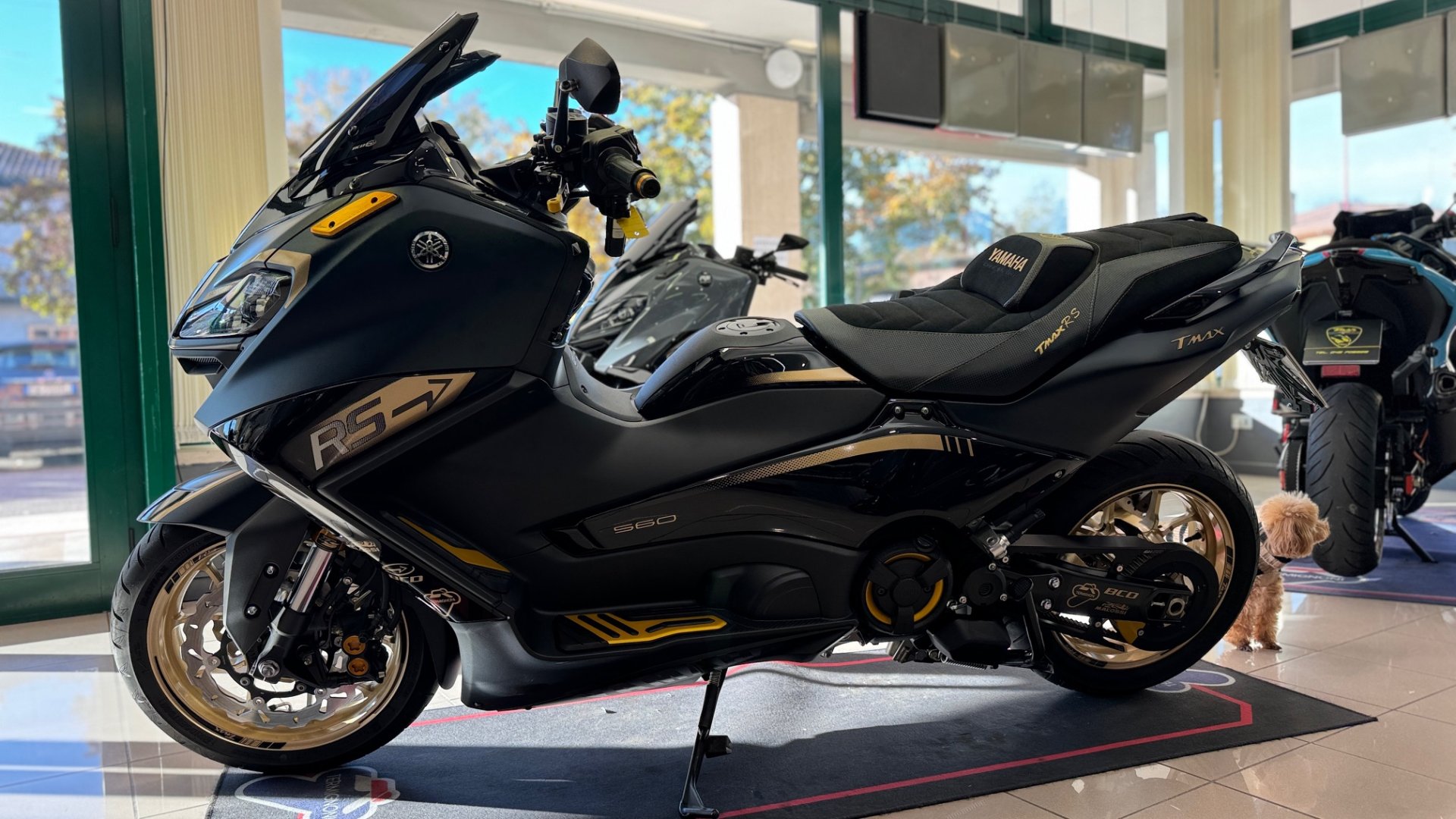 Tmax online 560 recensioni